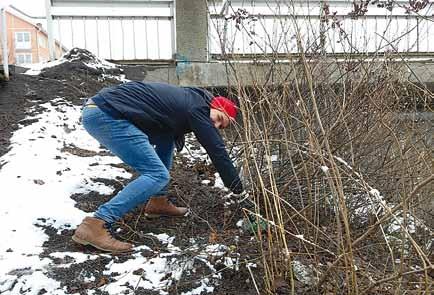 Kevään 2018 tapahtumakalenterissakin päivä on jo mukana, tällöin siivoamme paikat juhlakuntoon, kun koko maan jellonat kokoontuvat Ouluun.. Haastamme mukaan eri järjestöjä sekä kouluja ja päiväkoteja.