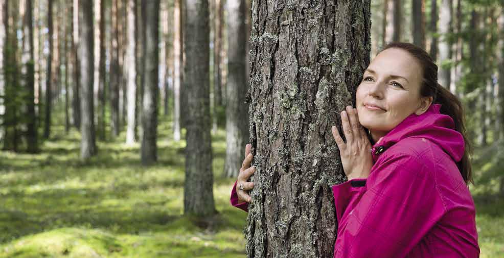 12 Metsien käytöstä ja hiilensidonnasta Suomen metsissä on enemmän puuta kuin koskaan 1800-luvun alkupuoliskon jälkeen. Tämä ei ole uskomus tai luulo, vaan tutkittua tietoa.
