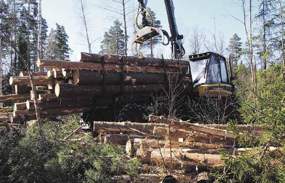 Jos ja kun puupohjaisilla tuotteilla on kysyntää, tämä on myös mahdollista. Jos metsien hakkuita nostetaan nykyisestä, mutta kasvu säilyy hakkuita korkeampana, metsät ovat edelleen hiilinielu.