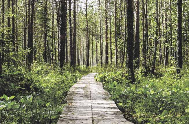 17 Metsä Vastaa kiertue siirtyy keväällä maastoon Pyry Krappe Metsä Vastaa kiertue tarjoaa koko Etelä-Savon maakunnan alueella tietoa metsän omistamisesta ja omistusjärjestelyistä, metsävaratiedoista