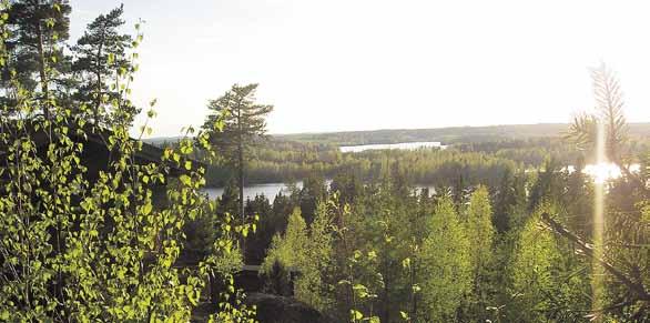 Kansainvälinen metsäedunvalvonta konkretisoituu monella tavalla suomalaisen metsänomistajan arkeen ja päätöksiin.