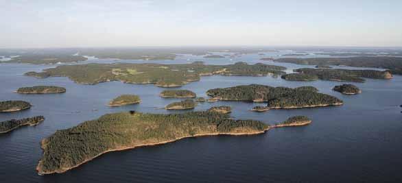 Tiedon julkisuutta oli käytännössä pakko parantaa, ja seurasi monipolvinen prosessi metsätietolain päivittämiseksi. Peruslinjat saatiin tiukan edunvalvonnan myötä maanomistajalle myönteisiksi.