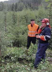 22 Turvallinen metsän ammattilainen välittää Paikallinen asiantuntemus, valtakunnalliset markkinat.