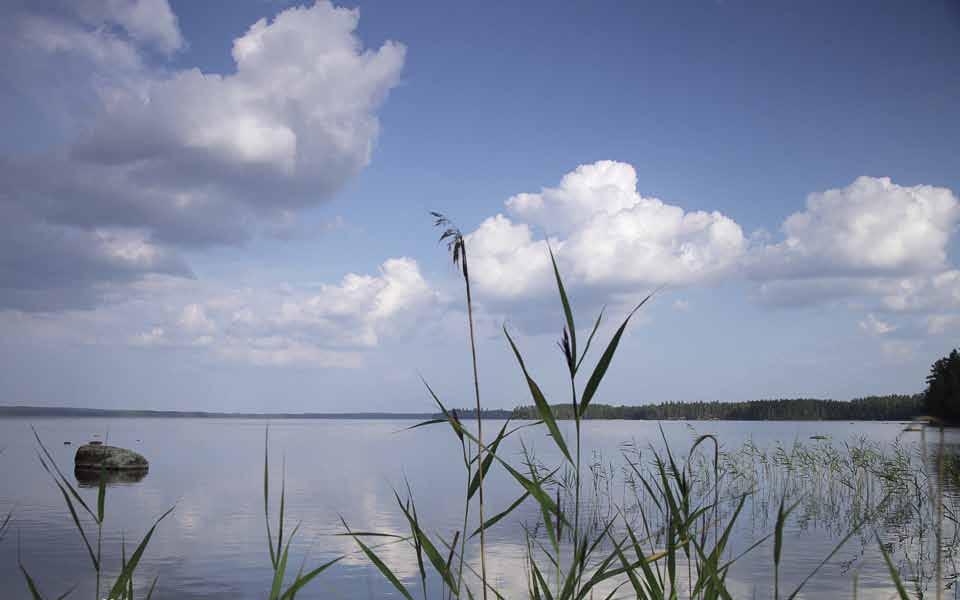 26 Metsänomistajanaiset verkossa ja verkostossa Tutustumassa työelämään Metsänhoitoyhdistysten jäsenenä olevat metsää omistavat naiset toimivat Metsänomistajanaiset -verkostossa. Tule mukaan!