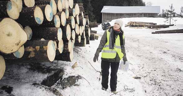 Eevan kotitila on keskikokoinen metsätila ja metsää on niin emännän kuin isännän nimissä ja myös yhteisiä metsiä löytyy. - Ukki osti aikanaan tilan isälleni.