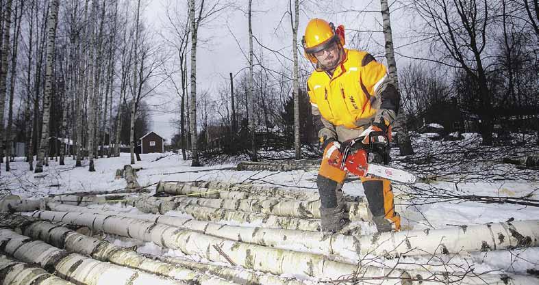 8 Metsuri on erikoistöiden ammattilainen Juha Tolvaselle keväällä 43 työvuotta täyteen Metsänhoitoyhdistys Etelä- Savon metsurien pääluottamusmies Juha Tolvanen sipaisee kypärän silmikon ylös ja