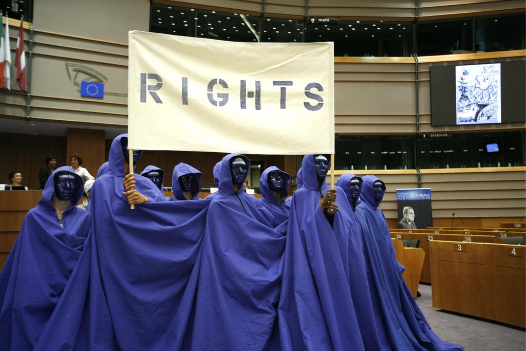 EUROOPAN PARLAMENTTI 2004 Ulkoasiain valiokunta 2009 Ihmisoikeuksien alivaliokunta