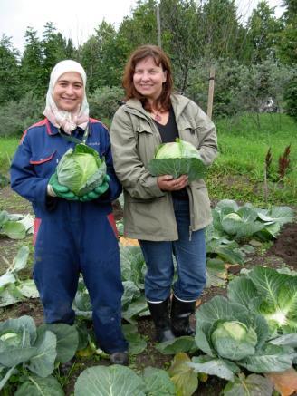 Virtsan käyttö lannoitteena Varoaika 1 kk kotitalouksissa Julkisissa käymälöissä 1-6 kk Hyvä ravinneliuos, yleensä steriiliä Ei lannoitevalmiste = ei saa myydä tai luovuttaa eteenpäin ilman