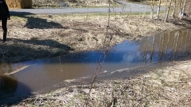 Tämän vuoden aiempien vesinäytteiden keskipitoisuus on ollut Aurajoessa noin 160 mikrogrammaa litrassa, mikä on jo erittäin suuri pitoisuus, mutta