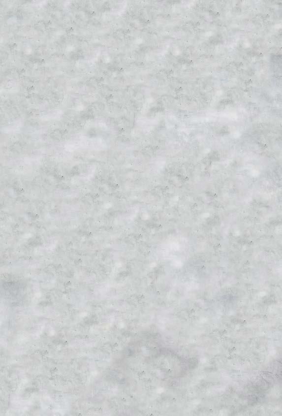 Monta tapaa tilata julkaisuja Julkaisut ovat saatavana painettuna ja pdf-tiedostona. Ne voi tilata yksittäin tai kestotilauksena SFS:n asiakaspalvelusta sähköpostitse sales@sfs.fi ja puh.