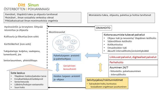 arkiselviytymistä. Digitaalisten palvelujen tarkoituksena on lisätä itsemääräämistä kotona ja asumispalveluissa.