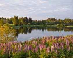 2007 MA-ARKKITEHDIT 2007 KYMIJOEN OSAYLEISKAAVA KOTKAN KYMIJOKI LUONTOSELVITYKSET 2004-2007 HOITO- JA KÄYTTÖSUUNNITELMA Yhteistyössä: Kotkan-Haminan seudun Yrityspalvelu Oy