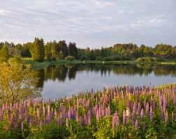 2007 MA-ARKKITEHDIT 2007 KYMIJOEN OSAYLEISKAAVA KOTKAN KYMIJOKI LUONTOSELVITYKSET 2004-2007 HOITO- JA KÄYTTÖSUUNNITELMA Yhteistyössä: Kotkan-Haminan seudun Yrityspalvelu Oy