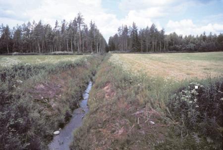 Ari Luukkanen Kuva 10. Turvepeltoa Pirttisuon keskiosassa. Turpeen syvyys on kuvan keskellä noin 2,7 m, ja pohjamaalajina on hiesumoreeni (kuva AL 3.7.2003).