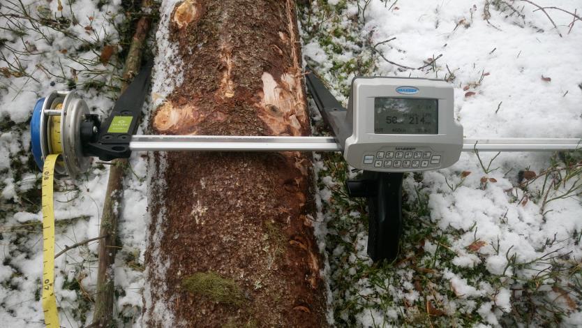 17 KUVA 4. Hakkuukoneen kontrollimittaus Masser excaliper II tarkkuusmittalaitteella. Toinen menetelmä on tarkastusmittaus eli hakkuukonekontrolli.