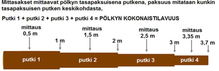 Tarkastusmittaus on suoritettava konekohtaisesti kaksi kertaa vuodessa ja aina asianomaisen niin vaatiessa. Tarkkuusmittalaitteella pölkky mitataan metrin välein alkaen 0,5 metristä (kuva 5).