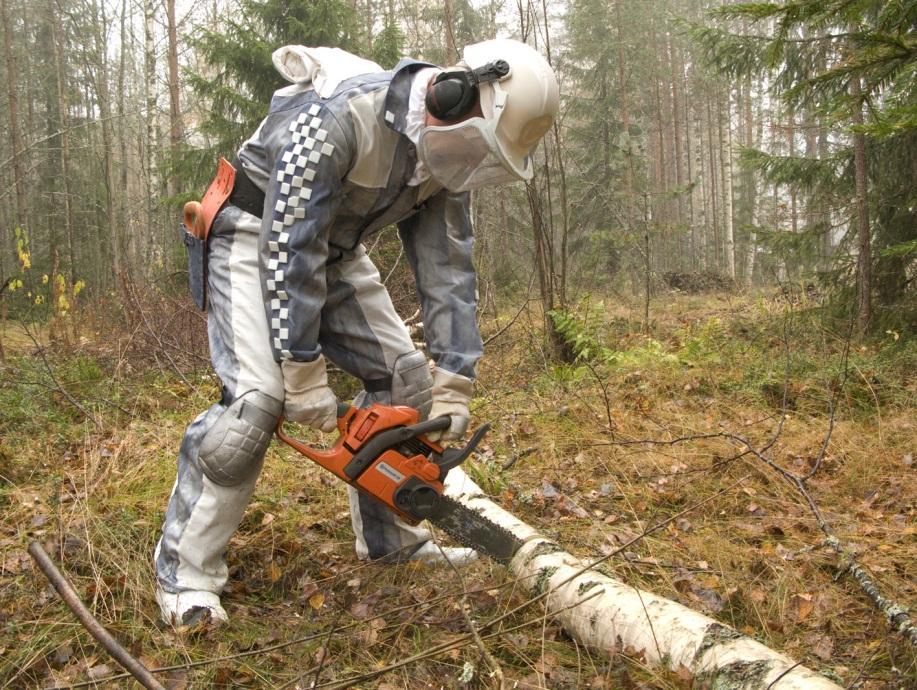 Suhtautuminen albedoskenaarioon En pidä hyvänä kasvattaa