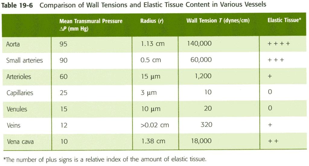 Positiivinen korrelaatio korkean seinämäjännityksen ja elastisen kudoksen määrän välillä