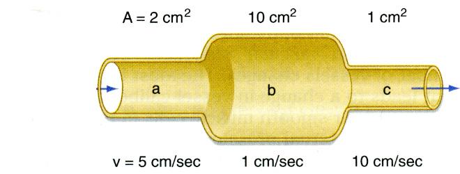 Virtausnopeus vaihtelee suuresti eri segmenteissä Q = 10 ml/s Q = 10 ml/s Jotta virtaus olisi vakio, tulee virtausnopeuden olla käänteisesti verrannollinen kunkin verenkiertojärjestelmän segmentin