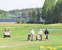 arboretum. Joka kesä Mustilaan syntyy eksoottisten havupuiden, eteeristen kasvien ja tuhansien kukkien muodostama tuoksujen, pölyttäjähyönteisten ja linnunlaulun täyttämä satumetsä!