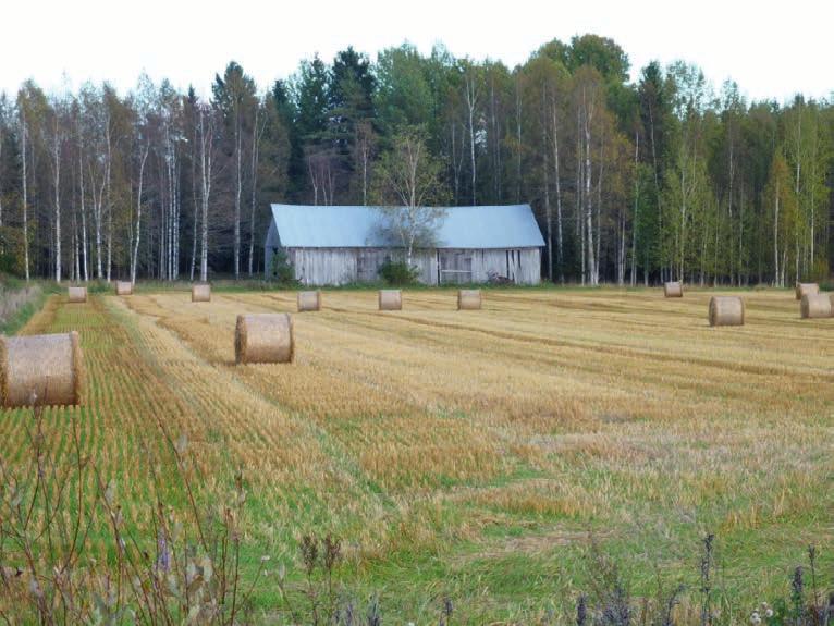 1. jaosto Hallinto-oikeuden 1. jaostolla oli vuonna 2016 seitsemän tuomaria, 1 3 hallinto-oikeussihteeriä sekä yksi lainkäyttösihteeri. Jaostolla ratkaistiin yhteensä 612 asiaa.