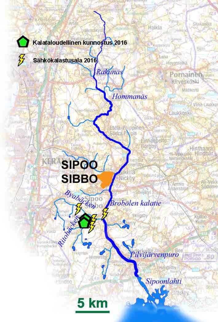 16 3. Jokikohtainen tarkastelu vuonna 2016 3.1 Sipoonjoki Sipoonjoki on noin 40 km pitkä sameavetinen joki, joka sijaitsee lähes kokonaan Sipoon kunnan alueella.