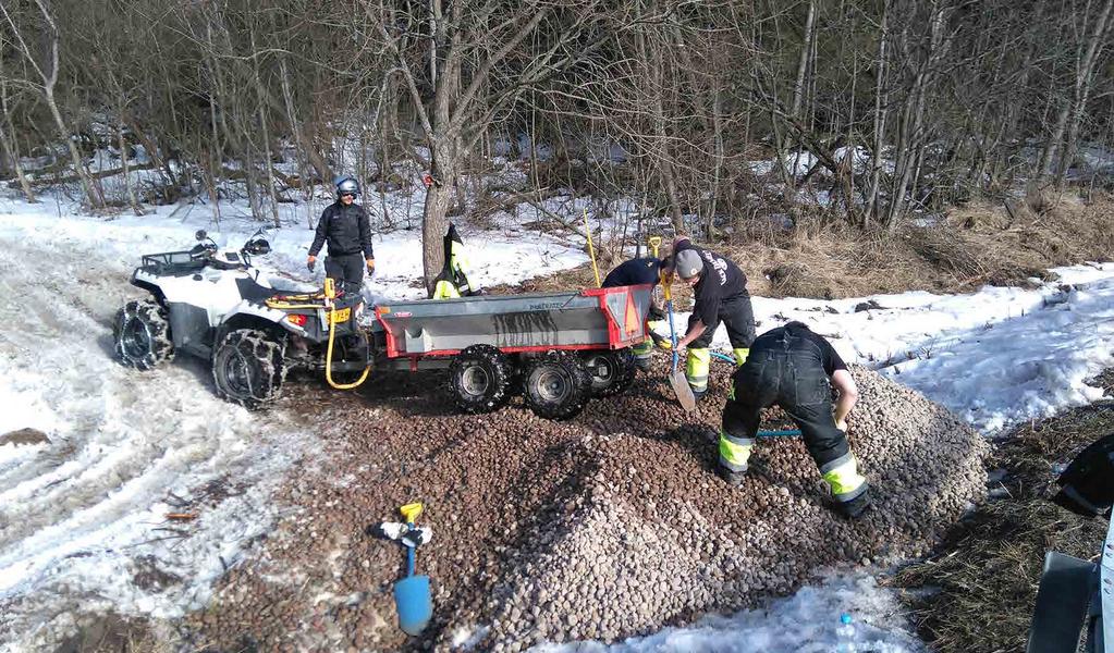 Vuonna 2009 syntyneet poikaset selvisivät kaivuutöiden aiheuttamasta samennuksesta hyvin, mutta seuraava poikasvuosiluokka syntyi vasta vuonna 2012.