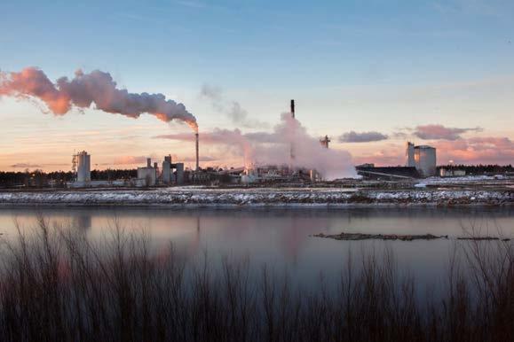 Toimipisteemme sijaitsevat Säkylässä ja Kirkkonummella Suomen ainoa