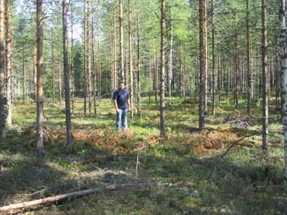 Sinänsä energiapuuharvennus on käyttökelpoinen niin hoidetuissa kuin hoitamattomissakin nuorissa kasvatusmetsissä (Äijälä, Kuusinen & Koistinen 2010, 16).