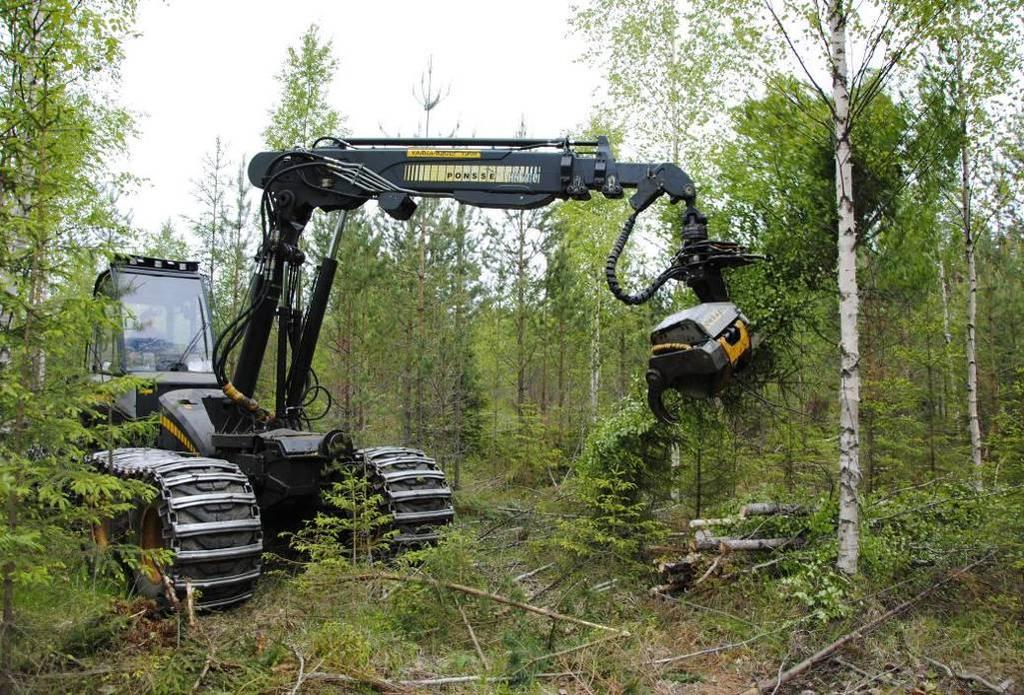 15 Karsitun rangan korjuun moninaiset hyödyt houkuttelevat sen käyttämiseen vähänkin siihen soveltuvissa kohteissa. Etuna on mm.