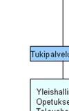 Tulosja tuki-