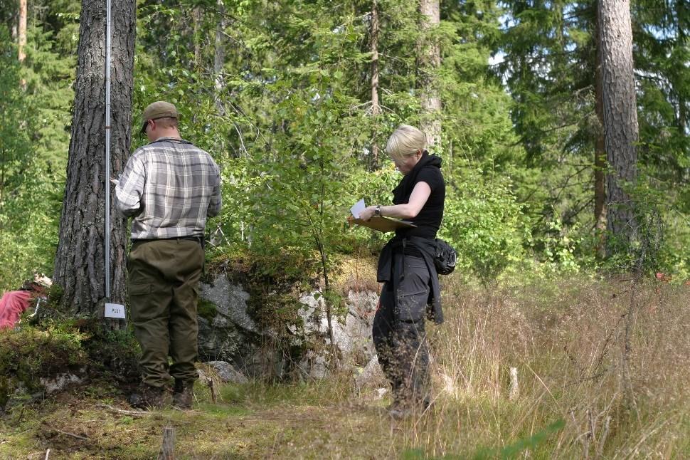 FOR110 METSÄTIETEIDEN KENTTÄKURSSI