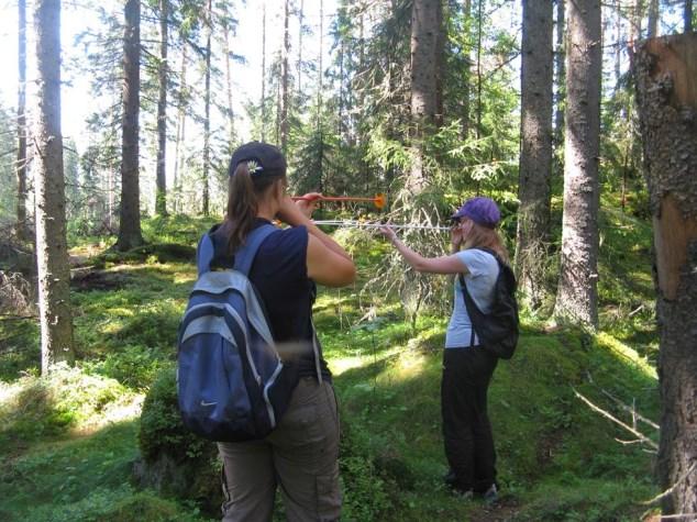 Metsänarviointi ja metsäekonomia ja markkinointi