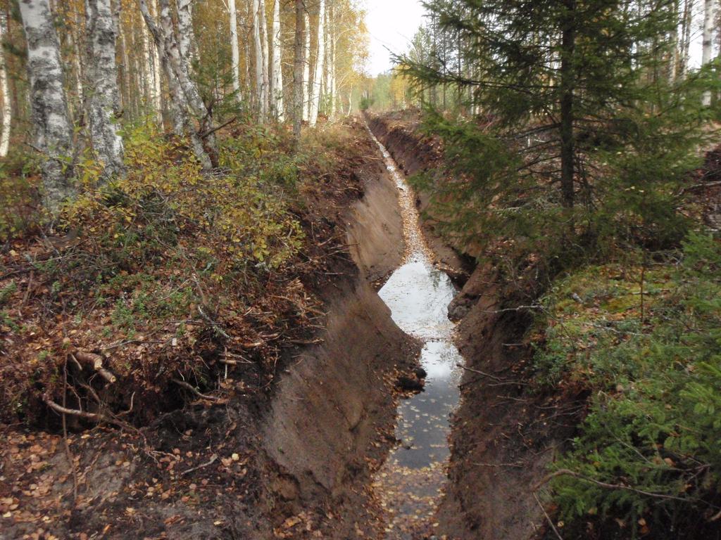 Metsäojitukset VL Metsämaan vesiensuojelu Monin paikoin kunnostusojitus on yhä liian rajua ja ojat