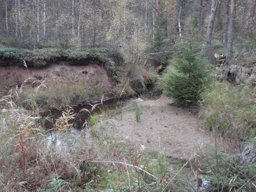 Metsäojitukset VL Metsämaan vesiensuojelu Purouoman eroosioituminen virtaamavaihteluiden