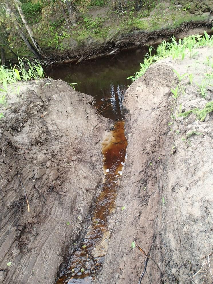 Ojitus ML, VL, LsL, Tapaus Ikkelänjoki Ojia kaivettu suoraan jokeen 2013 Kyseessä maakuntakaavan mukainen erityissuojeltu vesistö, yksittäiseen hankkeeseen ei vaikutusta