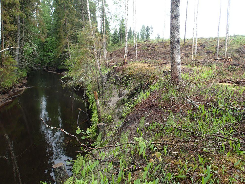 Joenvarren hakkuu ML, VL, LsL, Tapaus Ikkelänjoki Avohakkuu jokivarressa 2013 Kyseessä maakuntakaavan mukainen erityissuojeltu vesistö Metsäkeskukselle