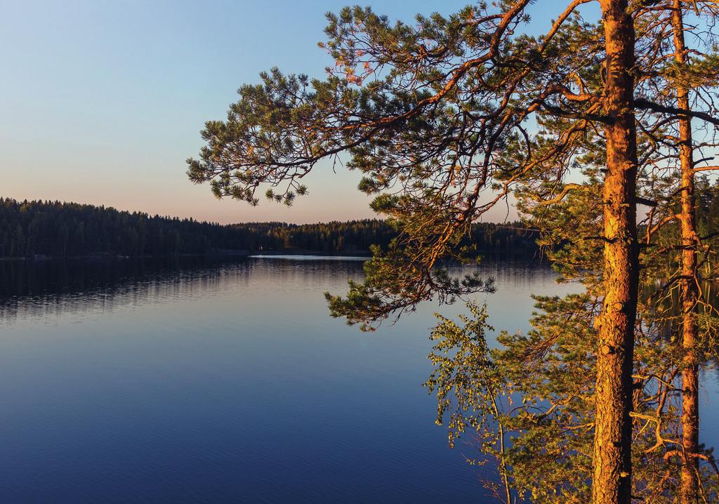 PALKITTUA KOTIMAISTA MUOTOILUA TYYLIKÄS JA FUNKTIONAALINEN Drop on