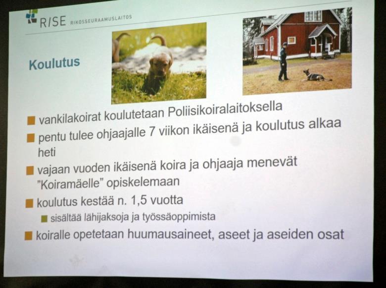 11 Virkakoiralla on tärkeä työ vankilassa Koira maamme turvana kurssilla vieraili lauantaina virkakoiria eri tehtäväalueilta.