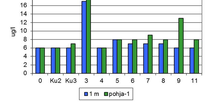 Lievästi kohonneita alusveden fosforipitoisuuksia mitattiin Maitiaislahden