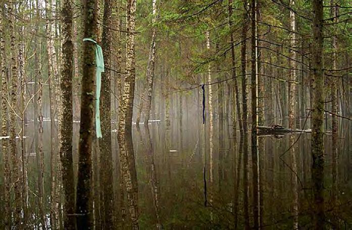 SOOMAA FOTO: ANDRES MÄNNART Samasuguse määruse kinnitas Viljandi maavalitsus 12. aprillil 1993. aastal.