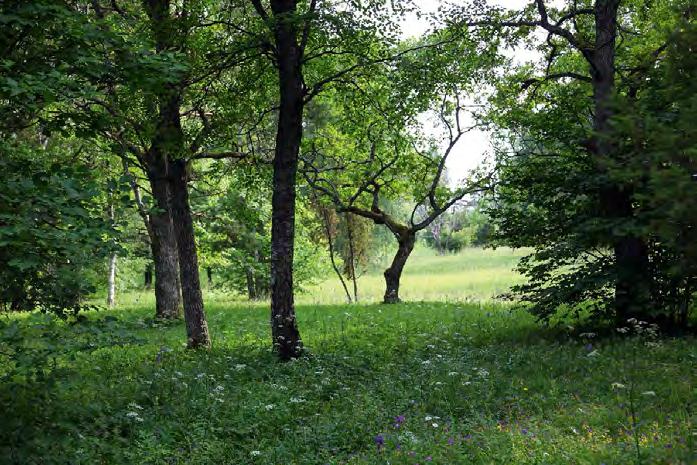 MAAILMAPÄRAND 14. UNESCO konventsiooniga ühinenud riikidel on oma ootelehed kandidaatidega, mida soovitakse esitada maailmapärandi nimistusse.