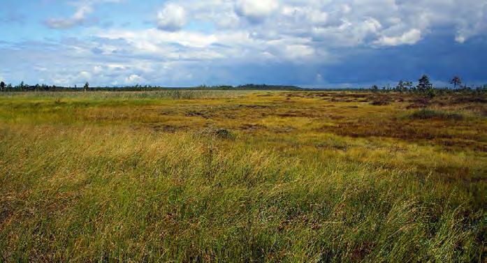 Umbes nagu väike laps kakab rahumeeli püksi, olles kindel, et küll ema ta puhtaks peseb ja kole hais kaob nagu nõiaväel. Võib nii öelda küll. Aga lisaksin teise, mu meelest tähtsama aspekti.