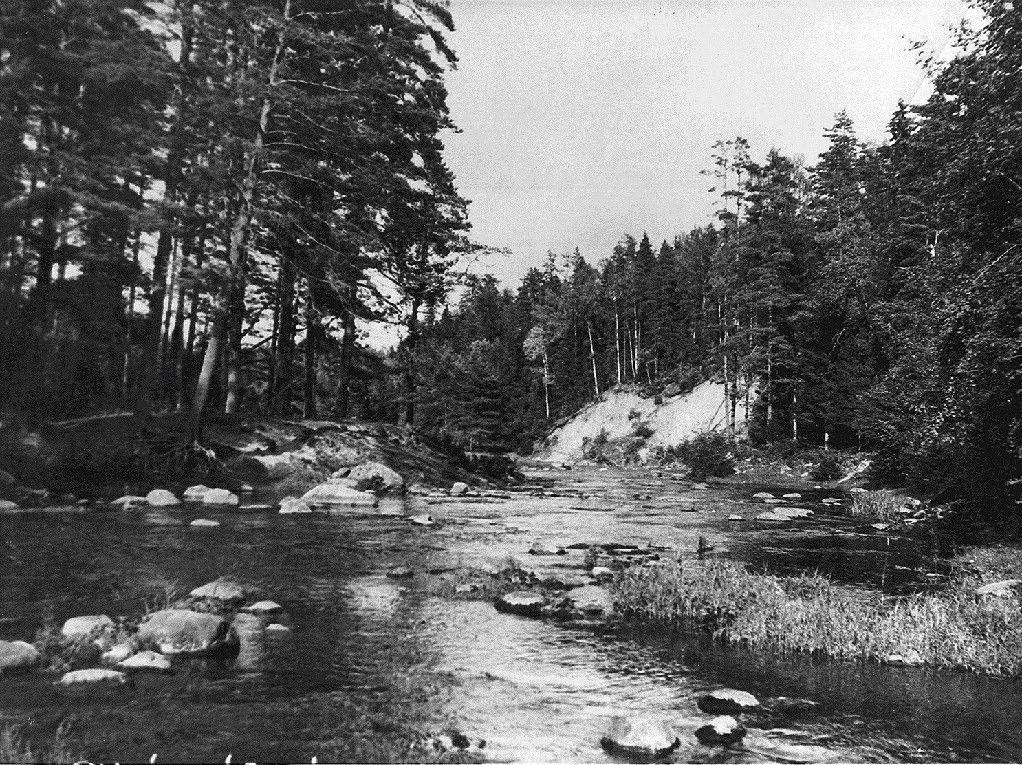 SAESAARE PAIS mida käidi vaatamas ka väljastpoolt Eestit. 1920. aastate lõpul rajati Suure ja Väikese Taevaskoja lähedale riigimaale suvitusasundus, mille kogupindala oli 147 904 hektarit.