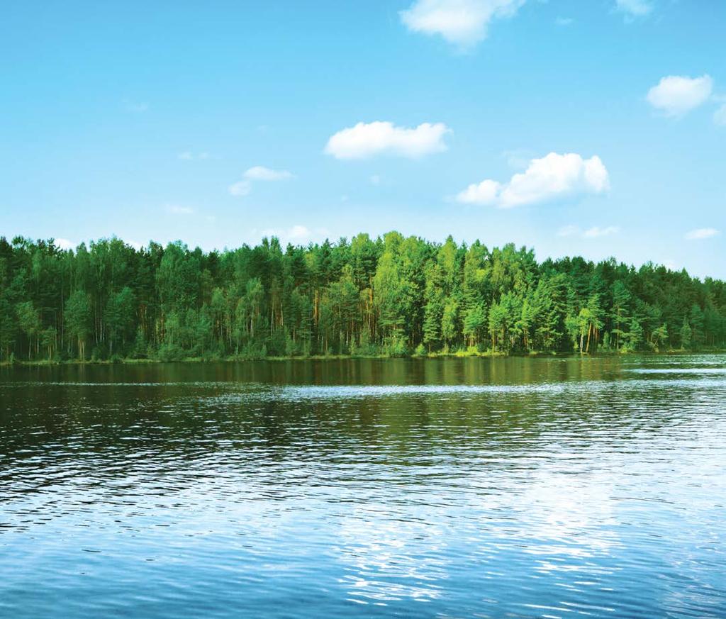 ERIKOISSIJOITUSRAHASTO UB METSÄ