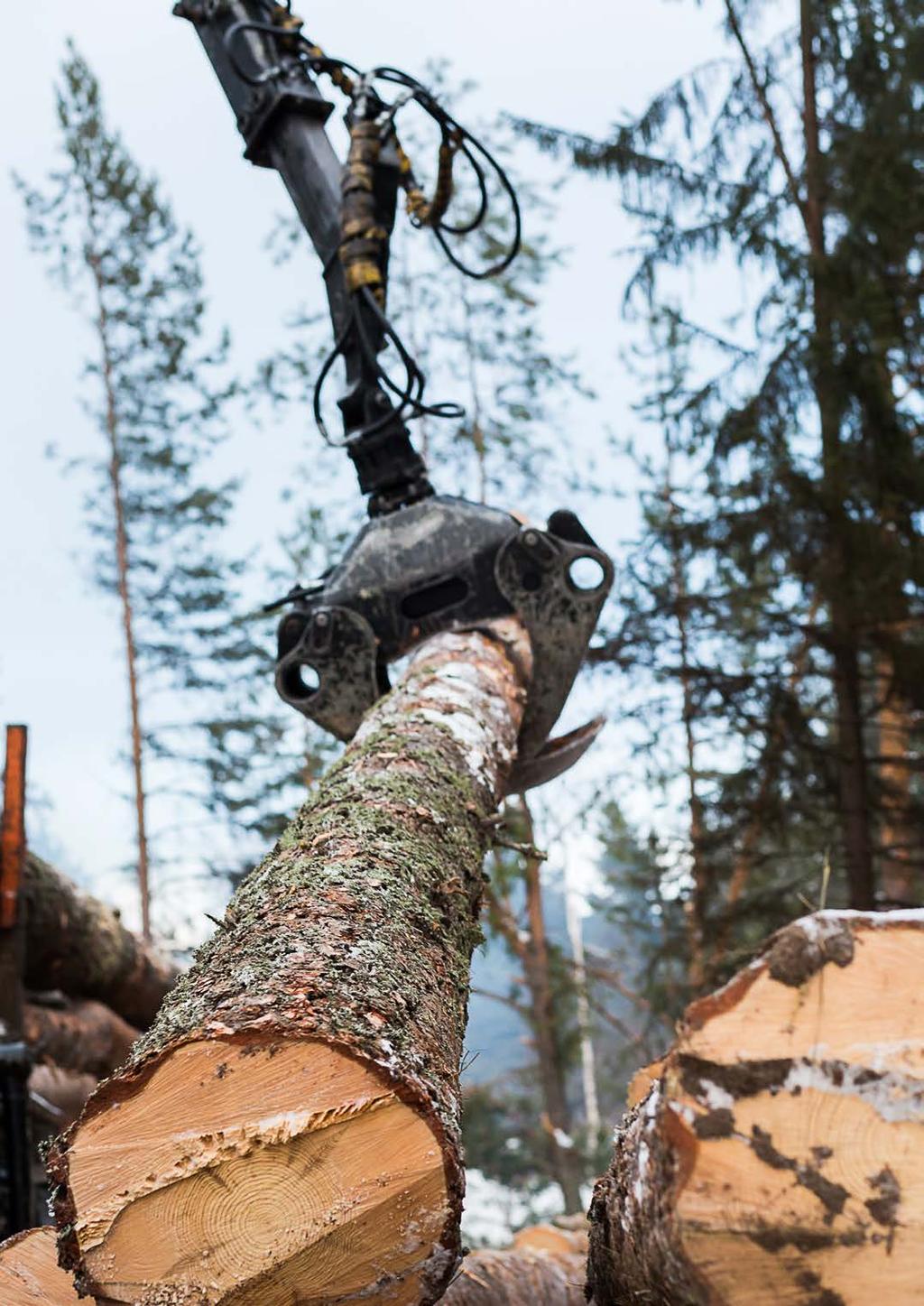 Metsästä parempaa tuottoa Metsä on hyvin arvonsa säilyttävä ja vakaata tuottoa tarjoava sijoituskohde, joka sopii täydennykseksi monenlaisiin sijoitussalkkuihin.