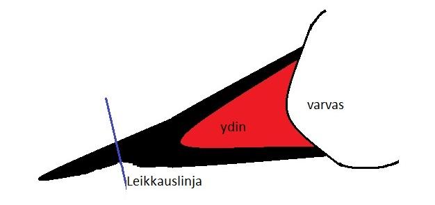 virtsakivet, silmäviat ja huonot jalka-asennot, erityisesti ulospäin kiertyvät etujalat.