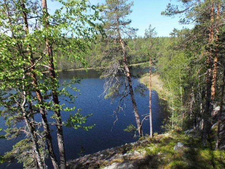 ) Kalliokeuhkojäkälä (VU) Hongantorvijäkälä (VU) 39x Kastanjansuomujäkälä (NT, RT), 15x Hentoneulajäkälä (NT, RT) Kantoraippasammal (NT, RT) Rakkosammal (NT, RT) 2x