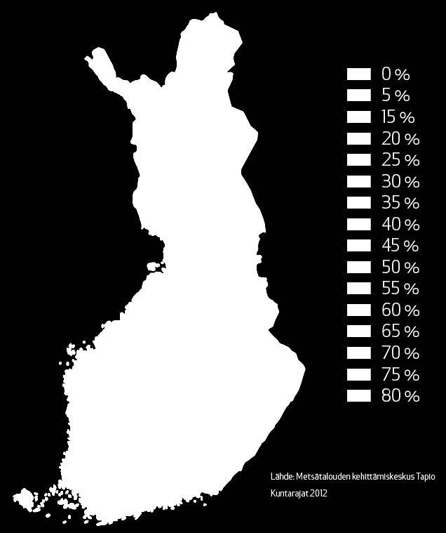 Raivaamme sähköverkkoamme vuosittain noin 5000 kilometriä varmistaaksemme ilmajohtoverkkomme sähkönjakelun varmuutta.