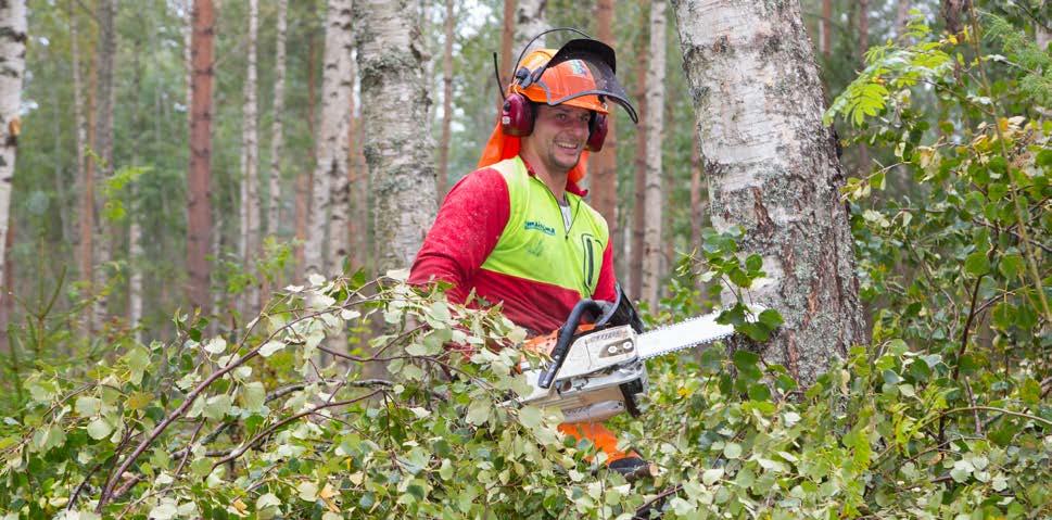 kumppanuudet Kumppanit ja tavarantoimittajat ELENIA VUOSIKERTOMUS 2016 37 Kumppanit mukana asiakaskokemusta, laatua ja tehokkuutta vahvistamassa MATERIAALIKEHITYKSESSÄ NÄKYY ROHKEUS UUDISTUA